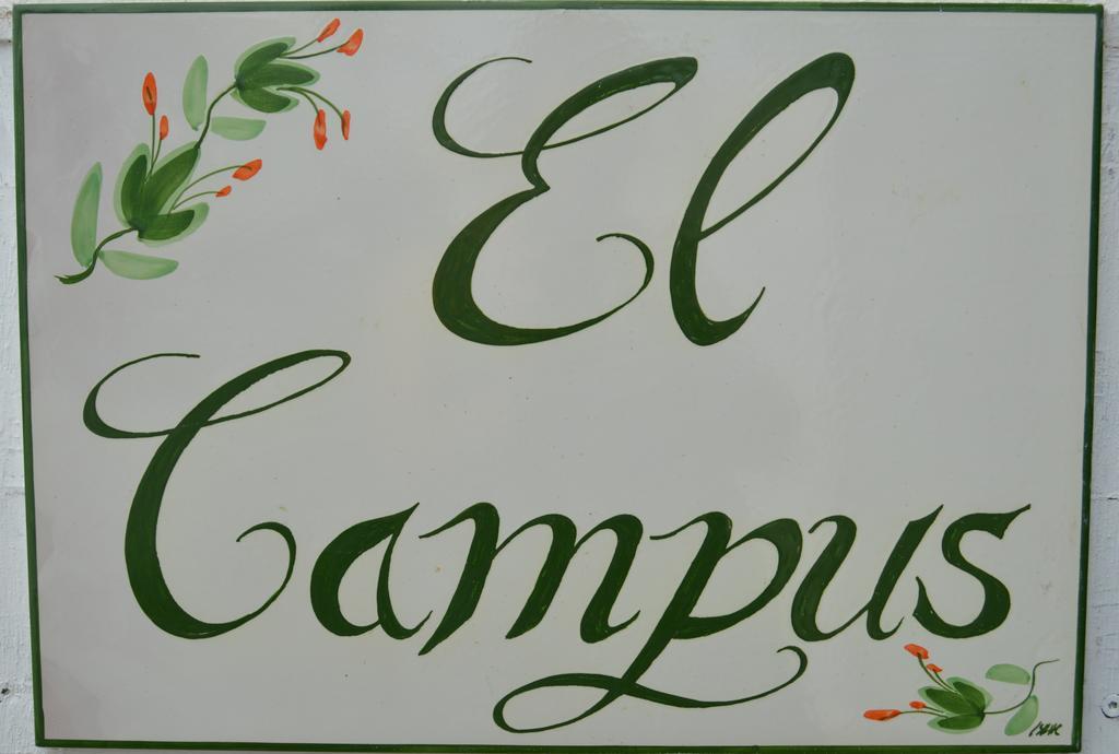 El Campus Villa Alaior Buitenkant foto